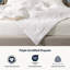 Garniture de couette en laine mérinos biologique Delara - Certifiée GOTS, Oeko-TEX et Woolmark, enveloppe en coton biologique 400 fils/cm², chaleur toutes saisons 300 g/m², construction à compartiments cloisonnés, lavable à la machine - 1 place 173 x 218 cm-53567896