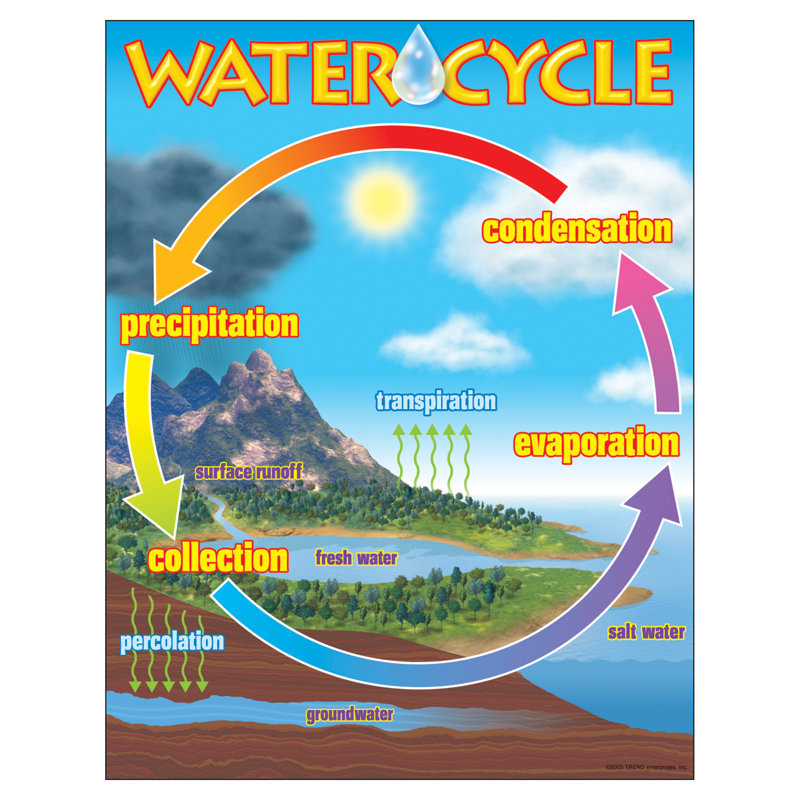 Tableau d’apprentissage de cycle d’eau