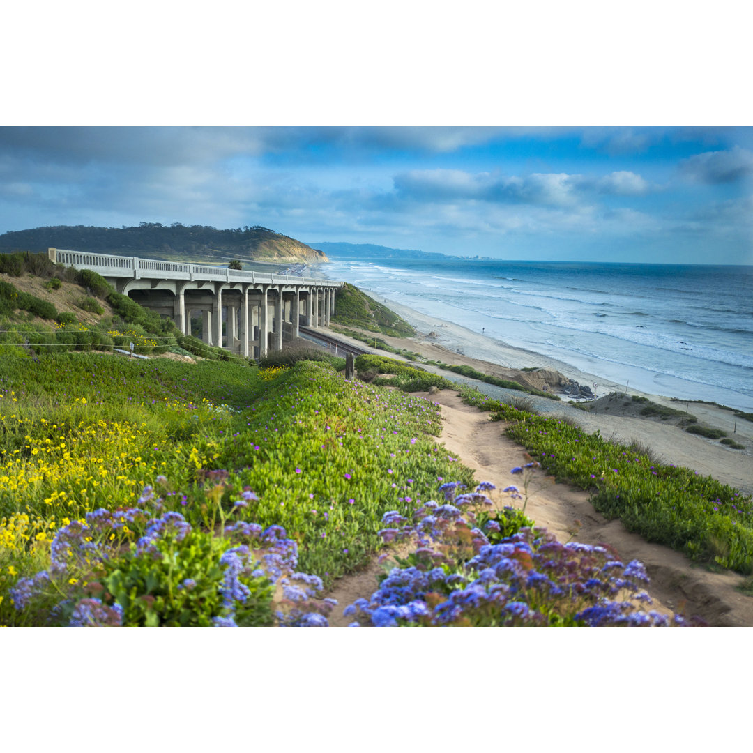 Torrey Pines Brücke Kalifornien