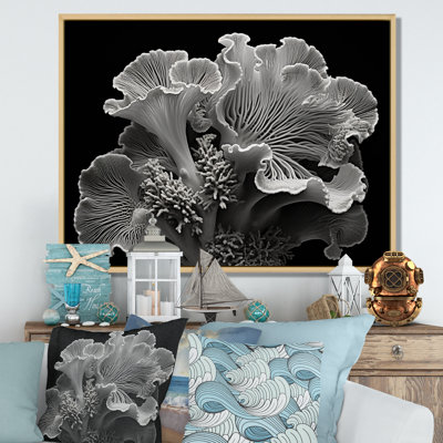 " Black And White Anemone Reef II "