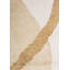 Rapture Area Rug-191315181