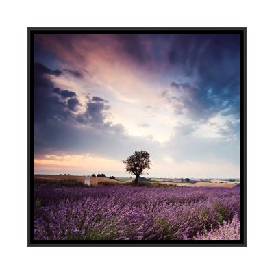 «Tree In Lavender Field, Provence» par Matteo Colombo, impression sur toile