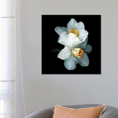 Daffodil Special V by Magda Indigo - Wrapped Canvas Print