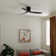 Ochre 48'' Ceiling Fan with LED Lights