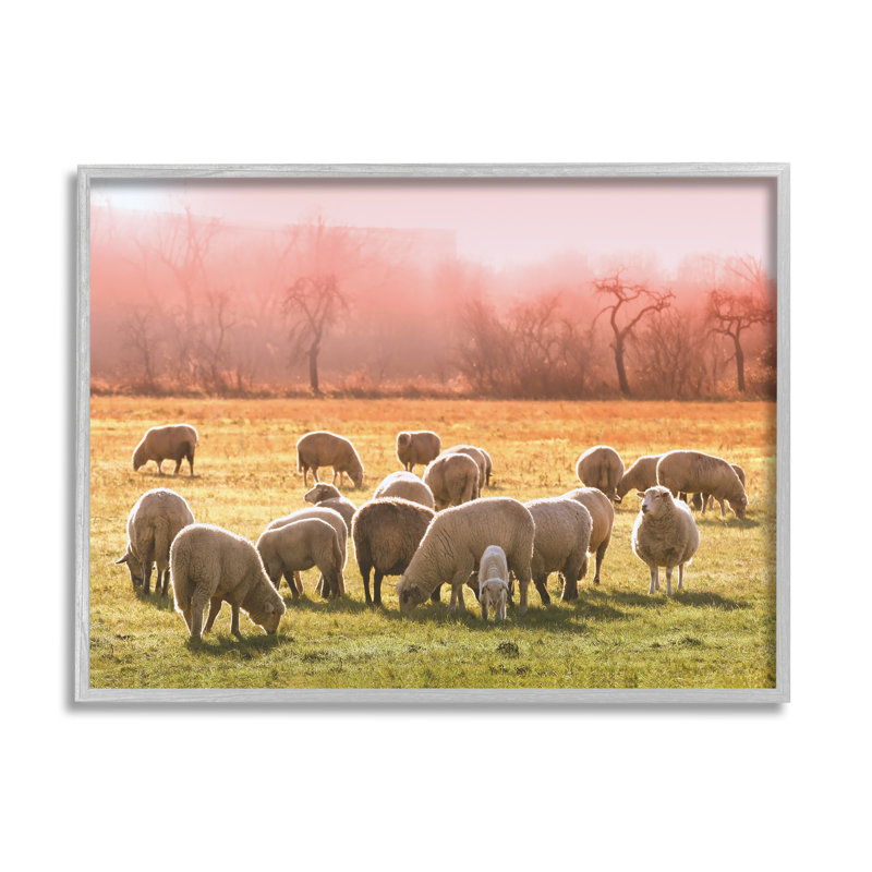Troupeau de moutons qui broutent un coucher de soleil rose chaud prairie de campagne par Daphne Polselli - photographie à cadre flottant sur bois