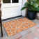  Alegandro Area Rug with Non-Slip Backing