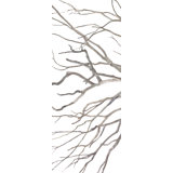 Enfolding Boughs I Print by David Brown