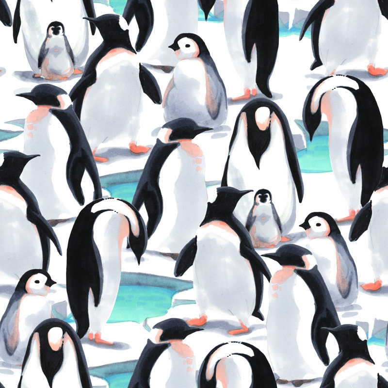 Penguin's Flock by KatBuslaeva - Wrapped Canvas Print, 122cm H x 122cm W x 3.8cm D
