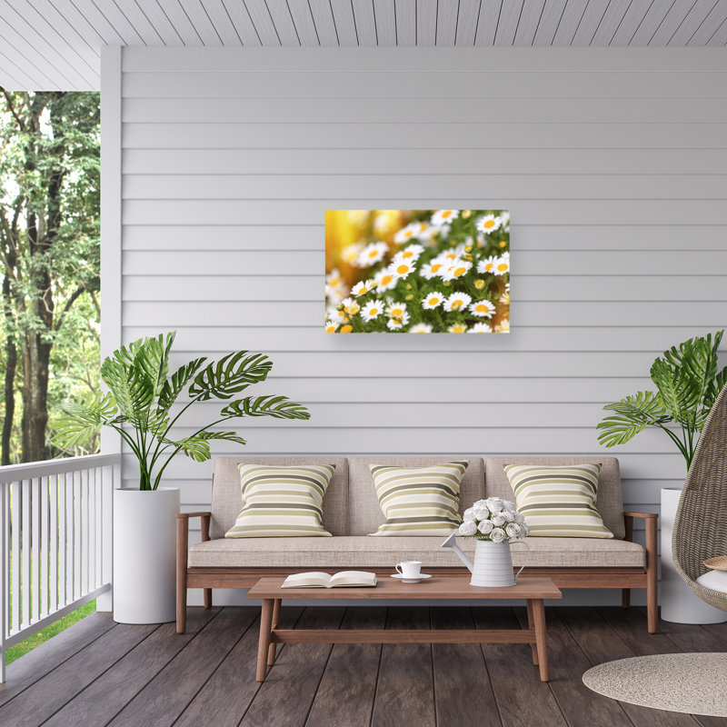 «Ologic ensoleillé »sur une impression sur toile, H 22 po x l 32 po