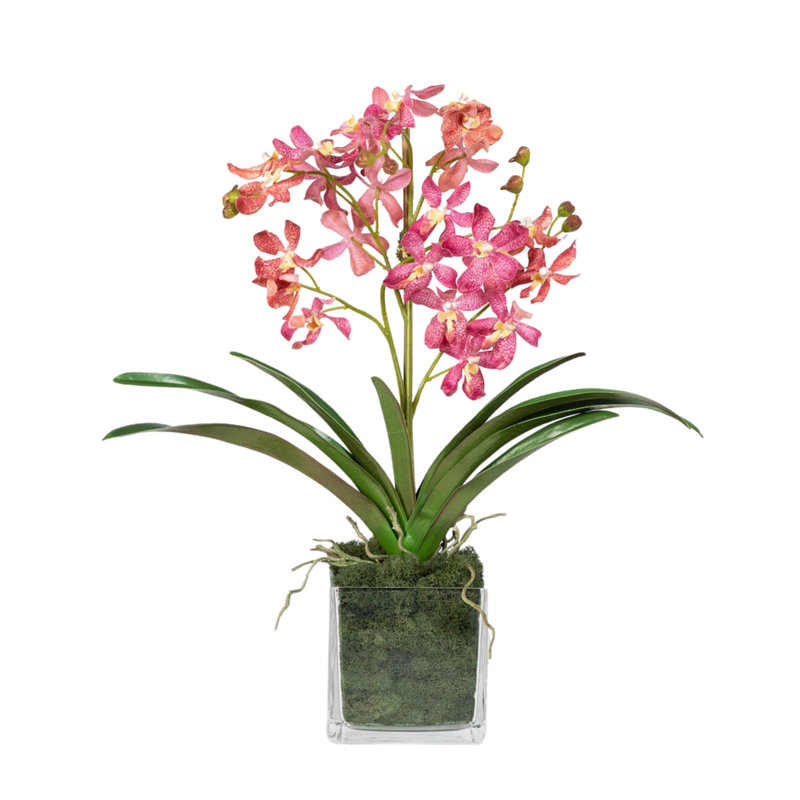 Faux Orchid Plant In White Vase, Pink