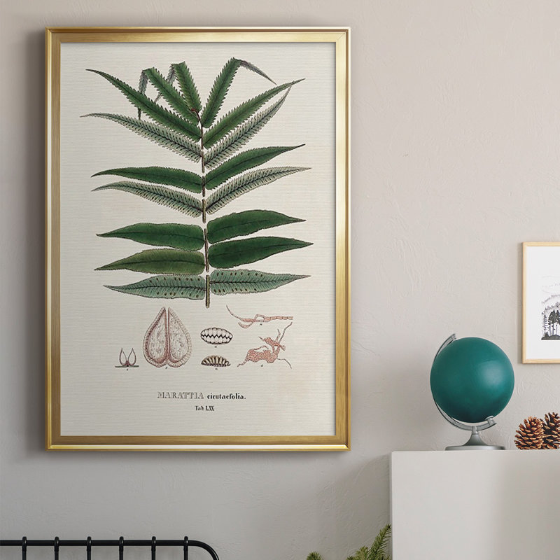 " Botanical Society Ferns XII ", Gold, 42.5" H x 30.5" W x 1" D