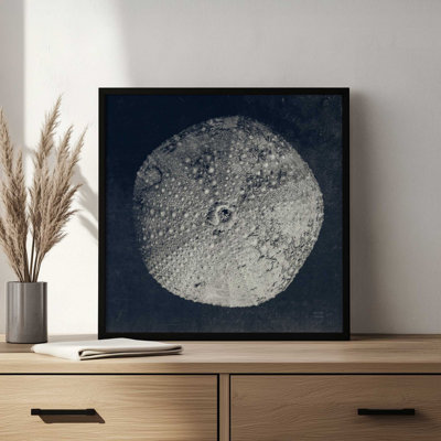 «Urchin Still Life III» par Nathan Larson, reproduction d'art