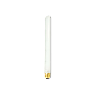 40W Frosted (2600K) Incandescent Light Bulb