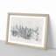 Points of the Trees - Framed Print-56891949-56891950