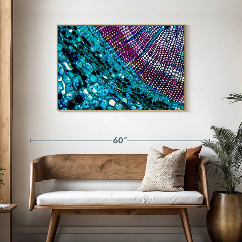 Pine Stem Under Microscope, Floating Frame Natural Wood, 43" X 29"