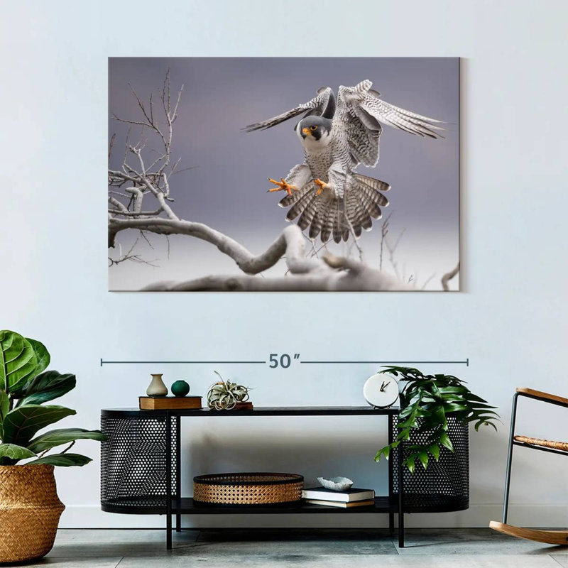 Peregrine Falcon, 32" H x 48" W
