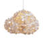 Barnacle 1 - Light Pendant