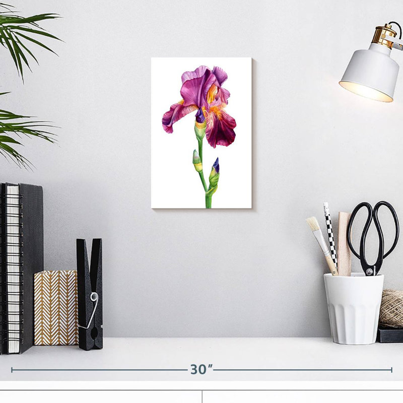 Harnek, belle fleur d'iris, H 12 po x l 8 po