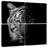 Brampt Tiger Contour-109134398