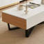 Table basse avec rangement minimaliste-109022853-109022850
