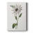 Tropical Botanical III -Gallery Wrapped Cavas-2105201023