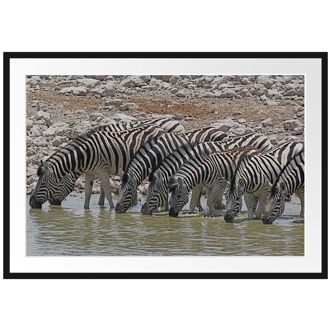 Gerahmtes Poster Zebraherde am Wasserloch