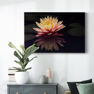 Photographie, étude, nénuphar, toile tendue avec châssis