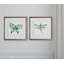 « sketchbook papillon », ensemble de 2 reproductions encadrées-27609933