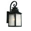 Lanterne murale d'extérieur Raedawn-289346666-354467727-289346664
