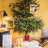 Live Tree Stand For Max. Tree Height 6 - 7.9 Ft.-63219847