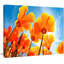«Yellow Spring Flowers on Blue», reproduction de photo sur toile tendue-19408593