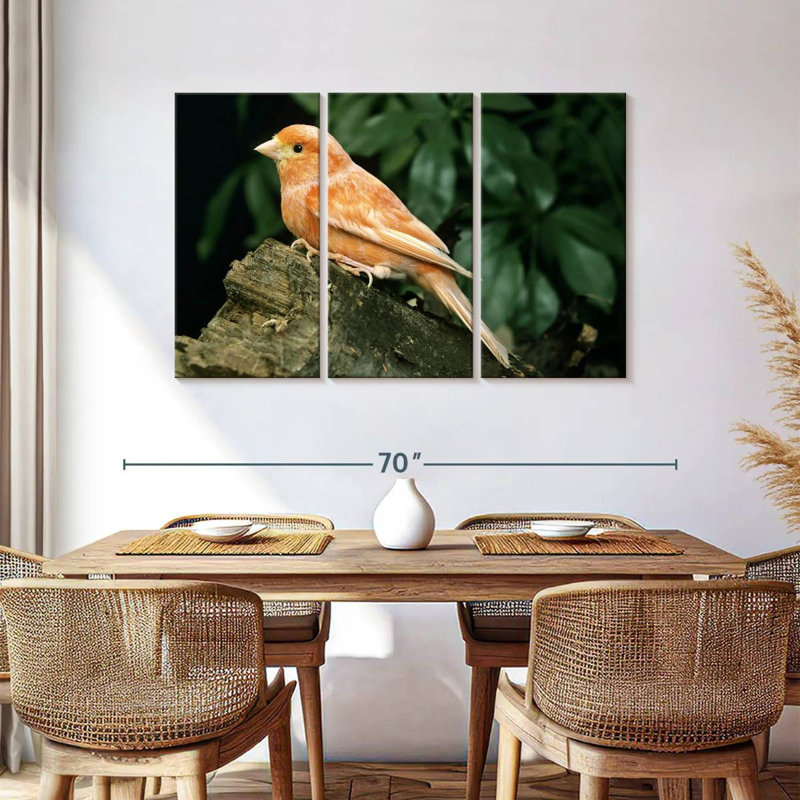 Canari rouge, H 36 po x l 57 po