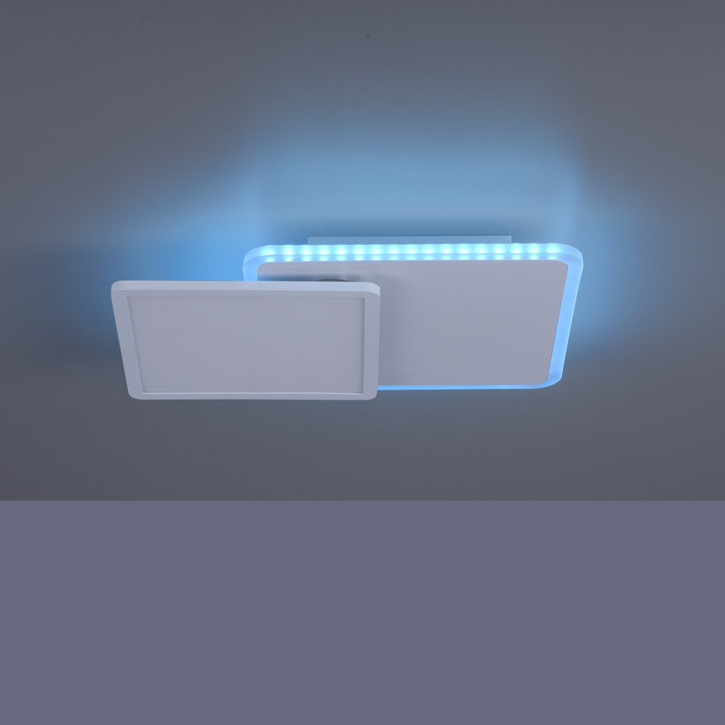 Flush Mounted Ceiling Light
