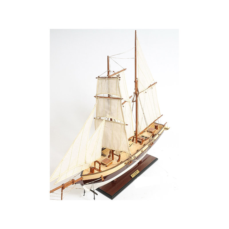Bateau peint en modèle lynx