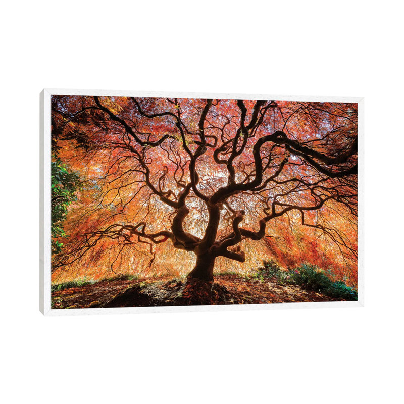Tentacles And Sun, Seattle, Washington III by Jim Nilsen - Print on Canvas, White Framed Canvas, 152.5 cm H x 101.5 cm W