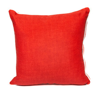  Indoor/Outdoor Throw Pillow