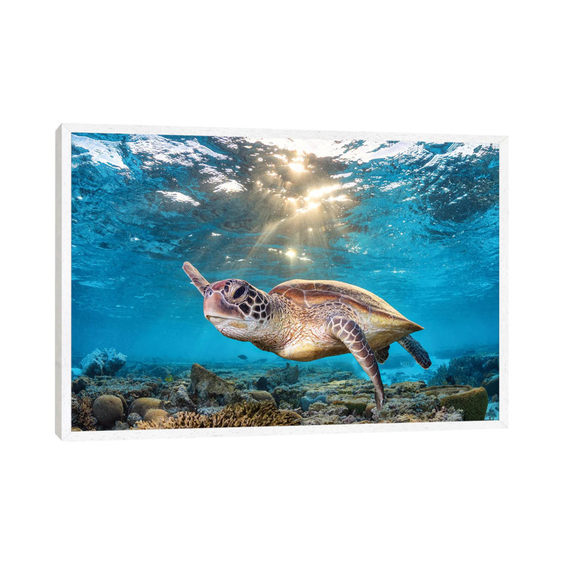 Swimming In The Golden Light by Jordan Robins - Print on Canvas, 101.6 cm H x 66.04 cm W, White Framed