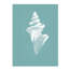 Pearl Shell IV Painting by Fern Cassidy-26727200-26727204