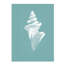 Pearl Shell IV Painting by Fern Cassidy-26727201-26727207