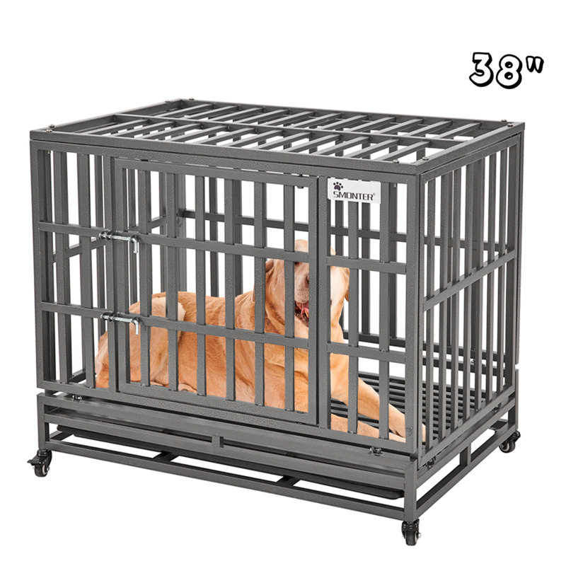 Caisse pour animaux, H 31,5 po x l 37,5 po x P 25,5 po