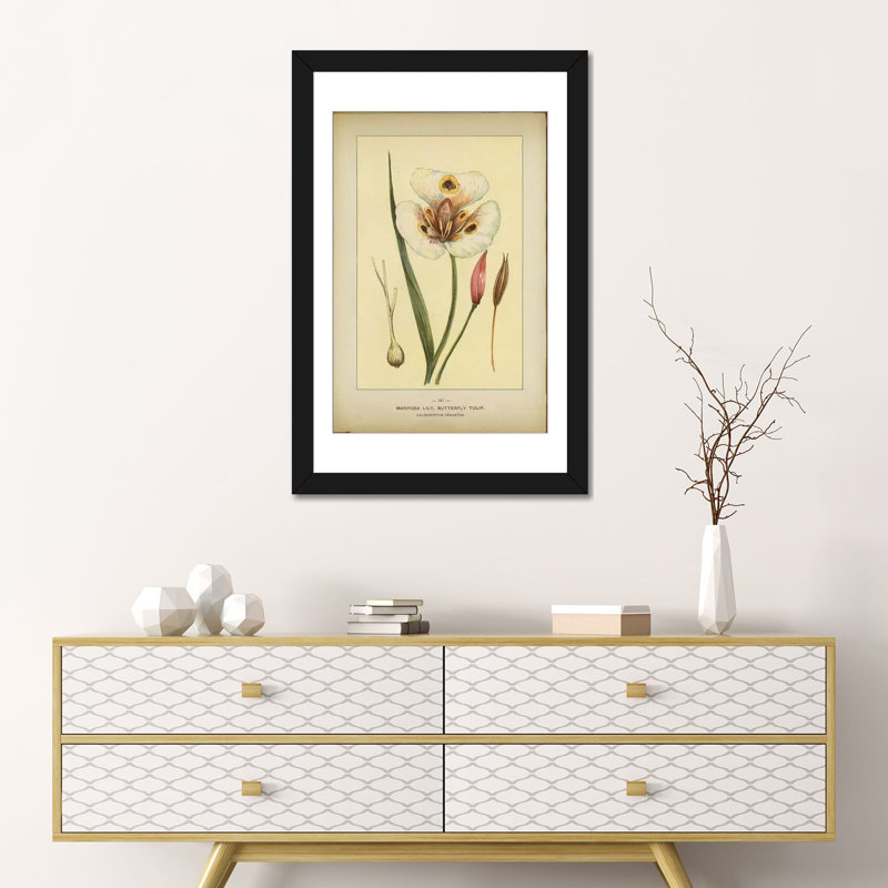 «Mariposa Lily», reproduction sur toile, H 24 po x l 16 po x P 1 po, Papier d'art encadré noir, Blanc