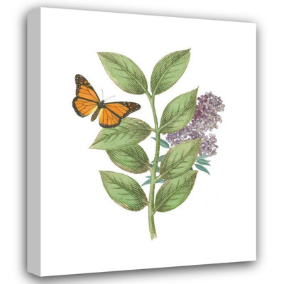 Ivy Bronx Wild Apple Portfolio Gallery Wrapped Canvas Art Titled: Greenery Butterflies III
