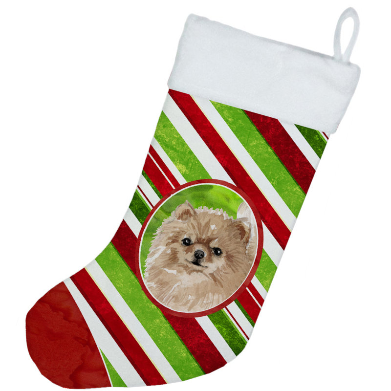 Chaussette de noël à rayures à sucre, Loulou de Poméranie