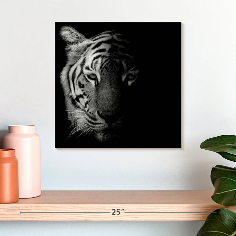 Brampt Tiger Contour, 16" H x 16" W