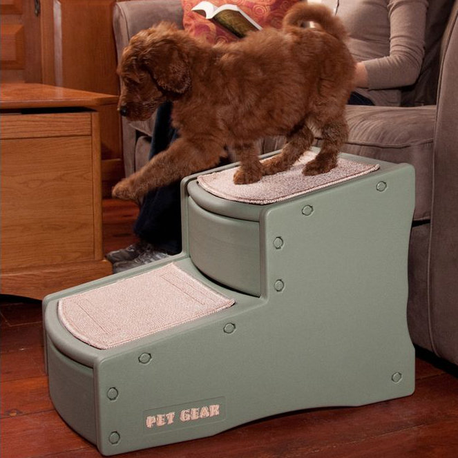 Sage Green Plastic 2-Step Pet Stairs with Carpet Tread