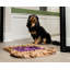 Tapis de jeu Pb & j Snuffle