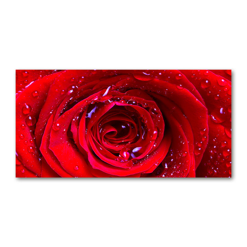 Rose Flower Wrapped Canvas - Art Prints, Canvas, 50cm H x 100cm W
