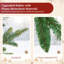 Fir Christmas Tree-1221183438