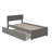 Amodio Solid Wood Platform Bed with Panel Footboard & Trundle