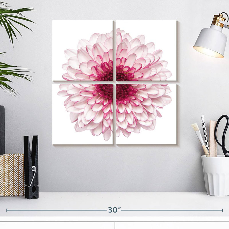 Chrysanthème rose Harnek, H 18 po x l 18 po